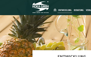 Design Projekt